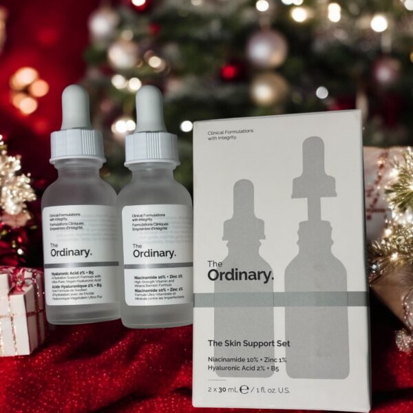 Pack of 2 Serum (Niacinamide 10% zinc1% ) plus (Hyaluric acid 2% + B5)