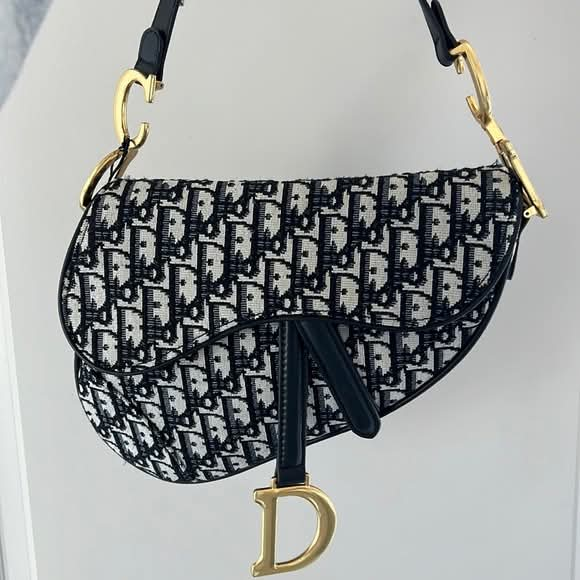 DIOR LUXURY BAG